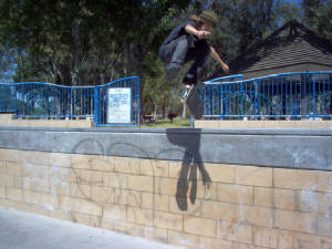 juliankickflip2.jpg